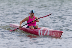 gbr-117