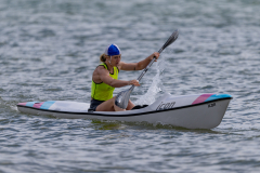 gbr-118